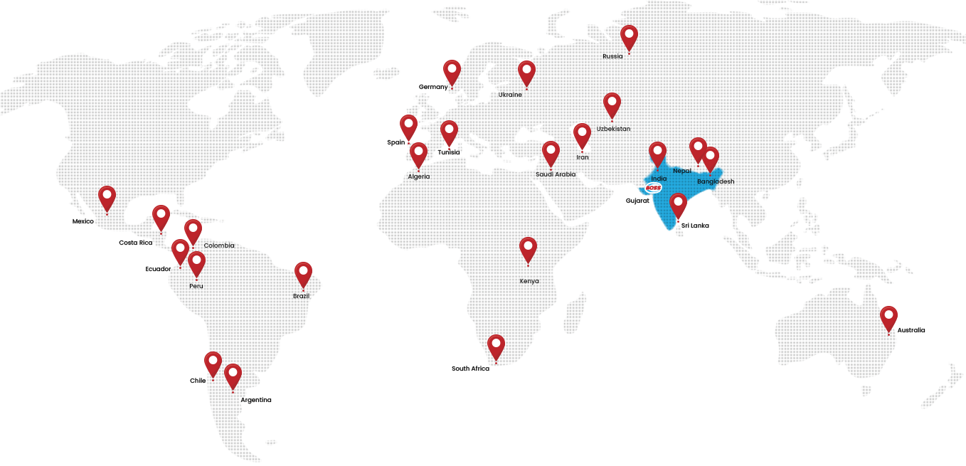 Global Layout